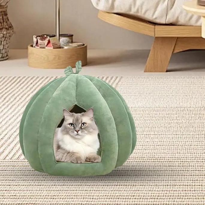 Pumpkin shaped cat bed