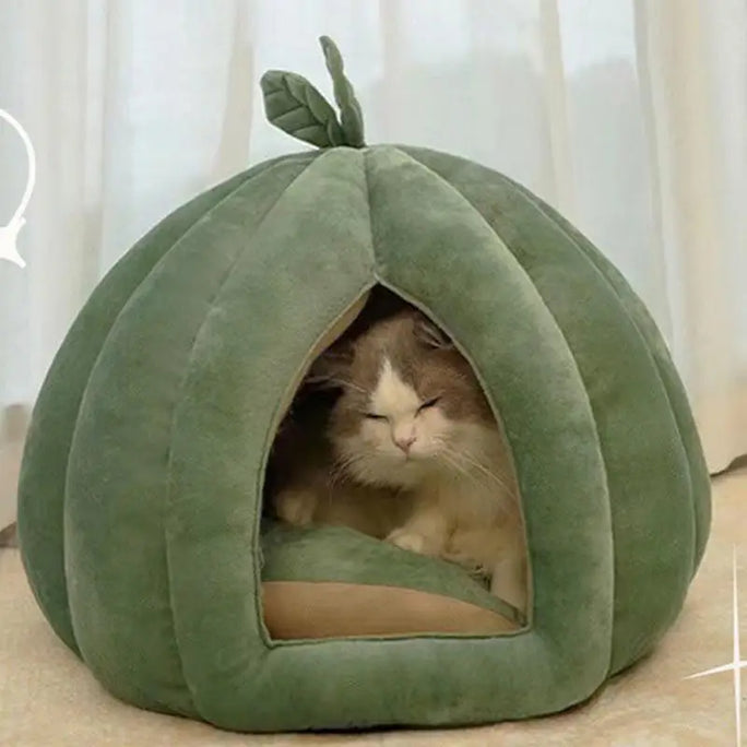 Pumpkin shaped cat bed