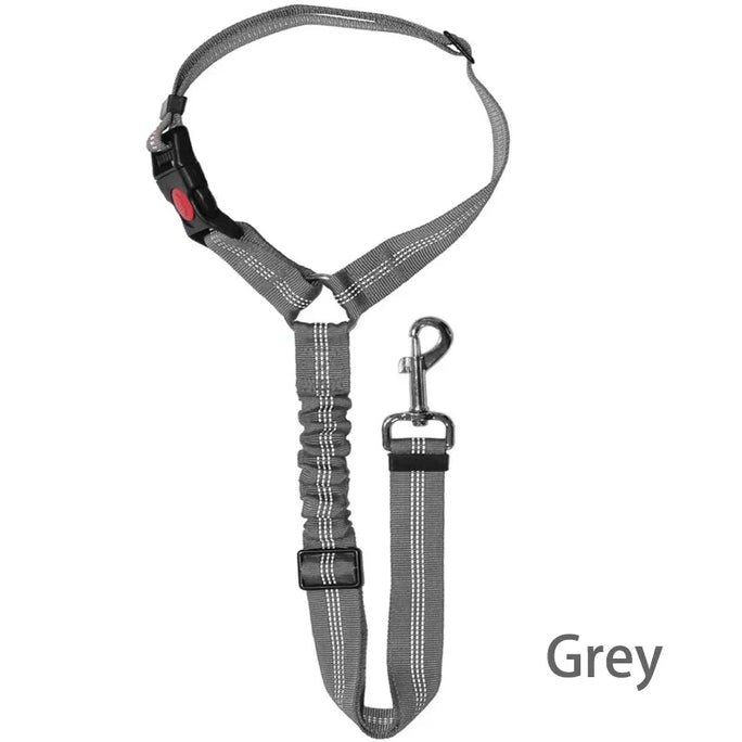 Two-in-One Dog Harness & Leash