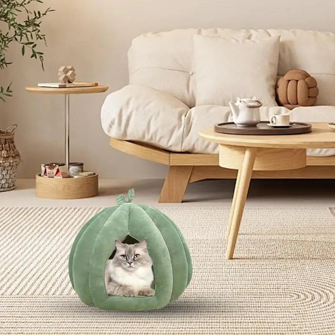 Pumpkin shaped cat bed